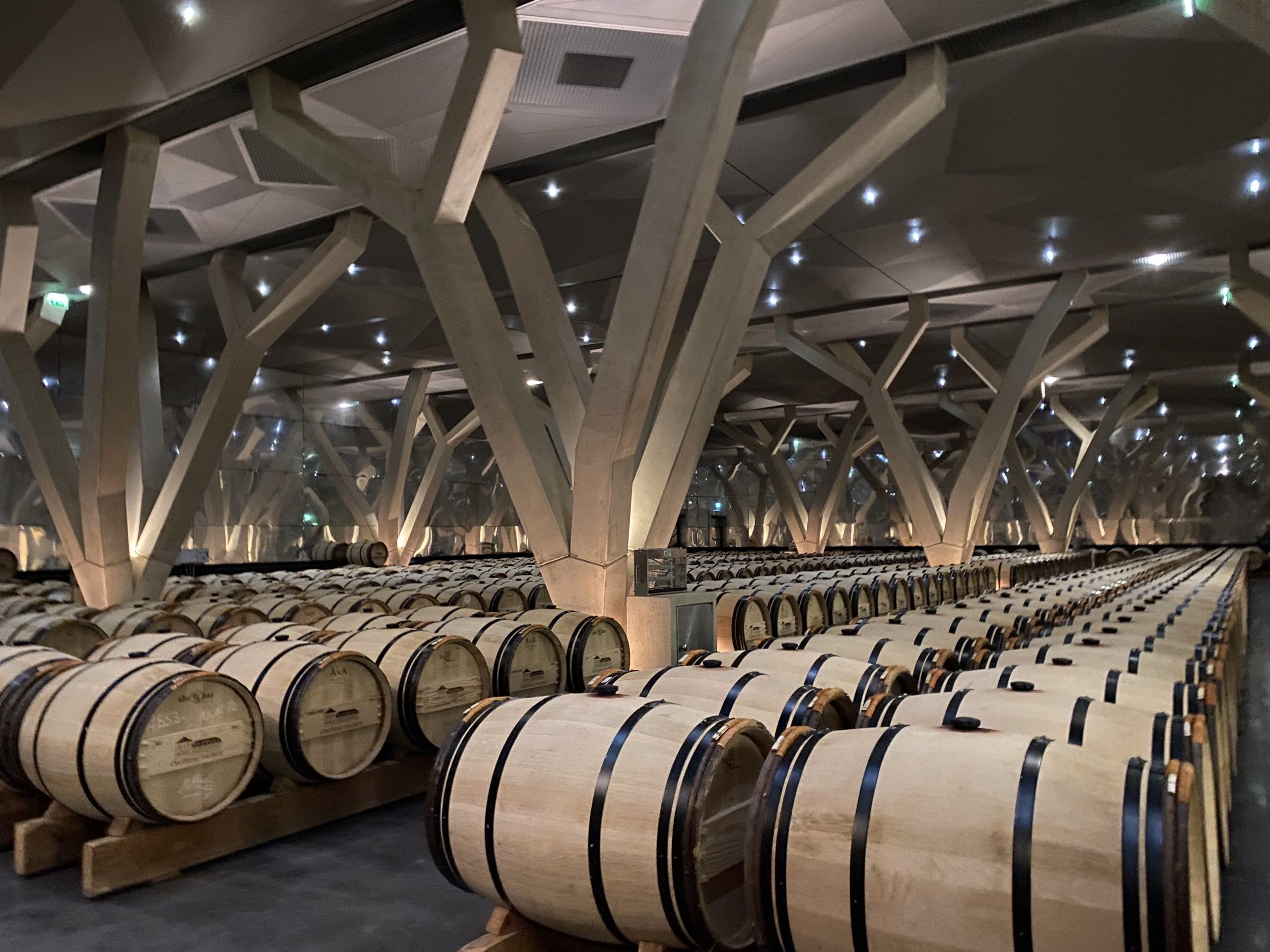 モダンな樽貯蔵庫