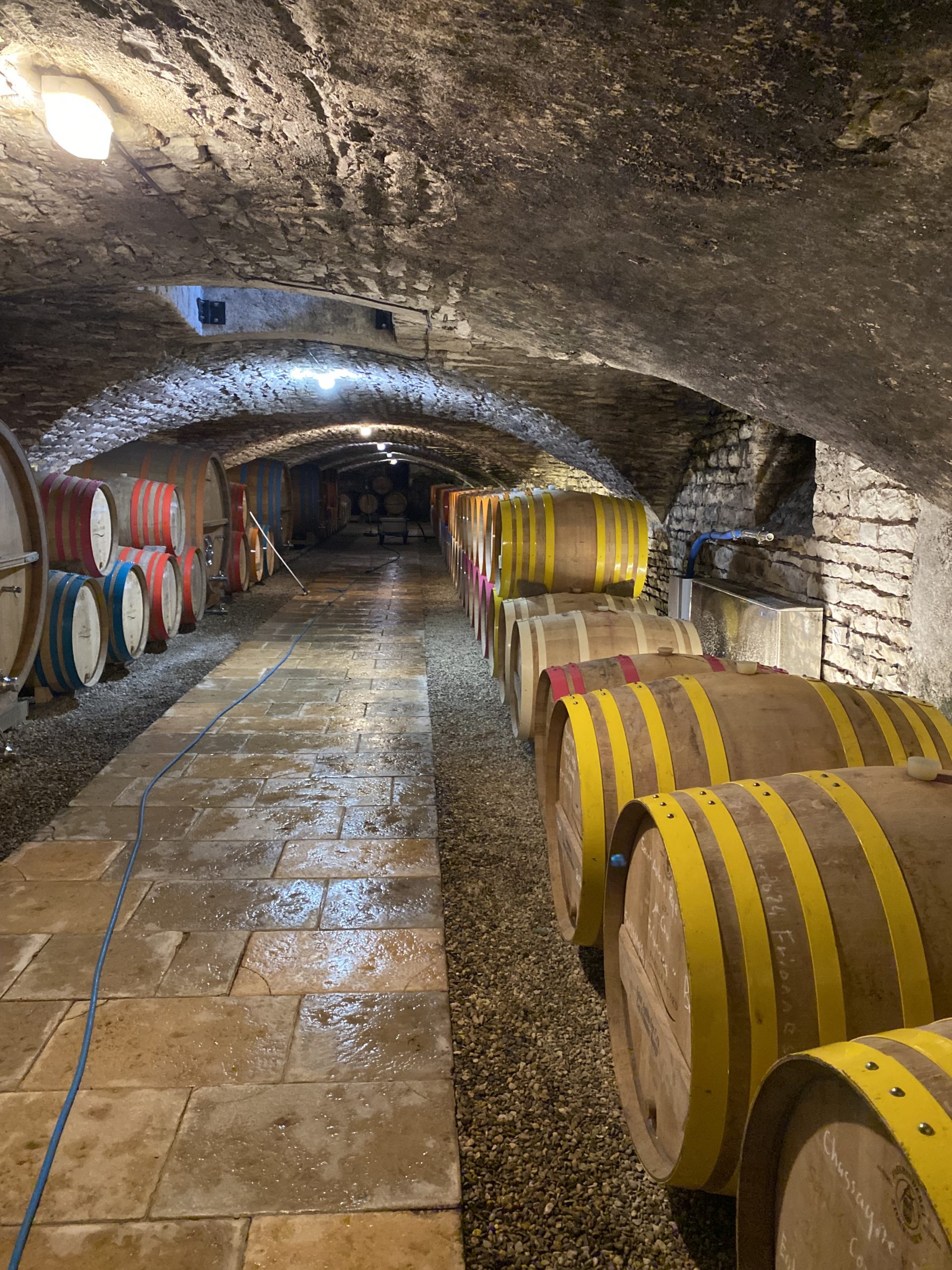 地下カーヴを見学